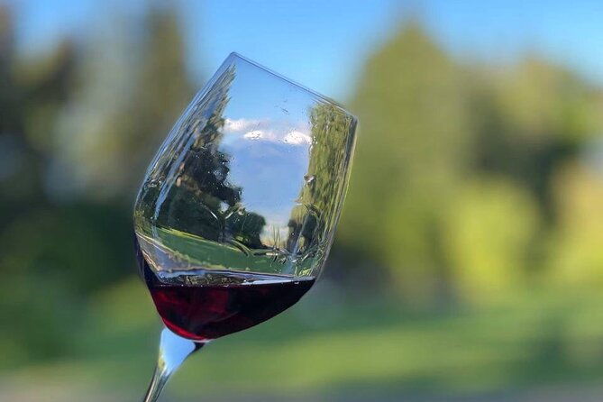 kakheti-all-inclusive-wine-tour-with-family-lunch