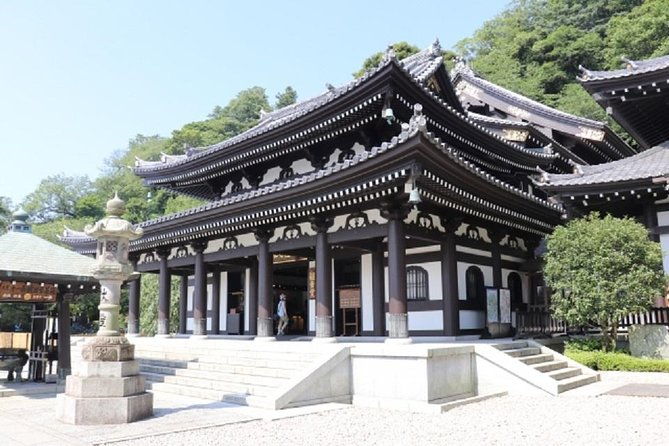 kamakura-bamboo-forest-and-great-buddha-private-tour