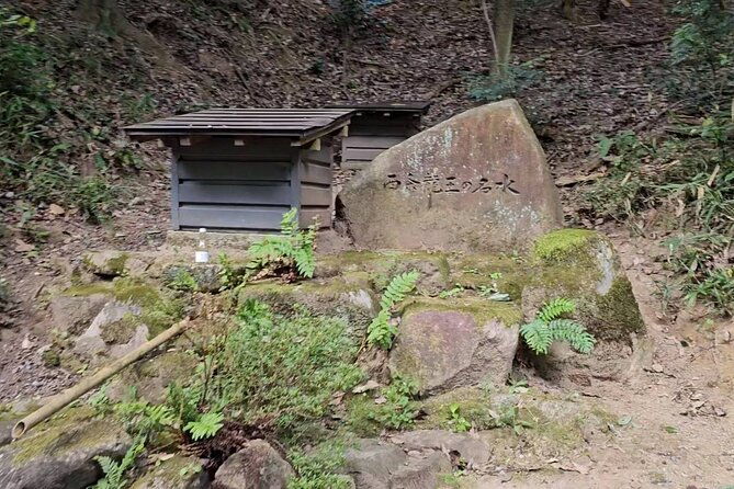 kamosu-tabi-the-sake-capital-saijo-wellness-tour