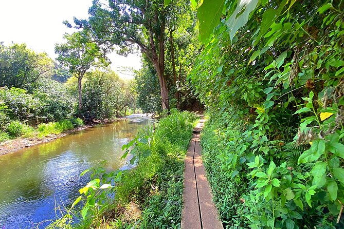 kauai-adventure-kayak-hike-to-secret-falls-with-expert-guide
