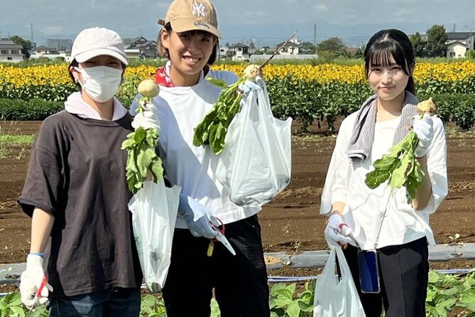 kawagoe-sightseeing-and-experience-tour-to-harvest-local-foods