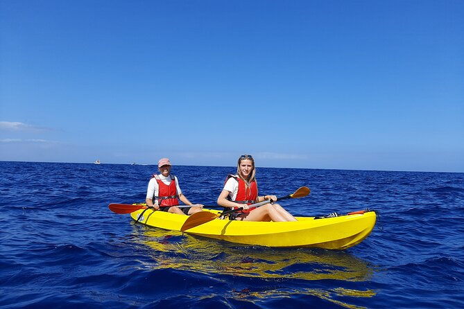 kayak-safari-with-dolphin-and-turtle-watching-in-guaza