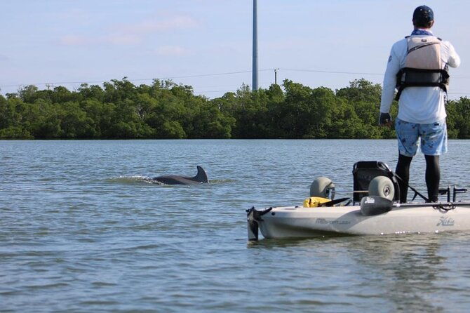 kayak-tour-adventure-marco-island-and-naples-florida