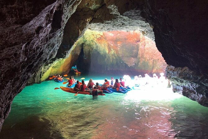 kayak-tours-with-amazing-caves-sea-life-and-marine-biologist