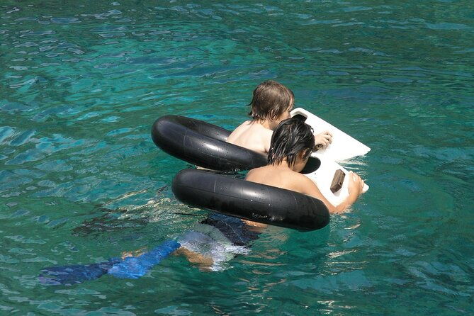 kealakekua-bay-afternoon-snorkel-family-fun-on-the-kona-coast