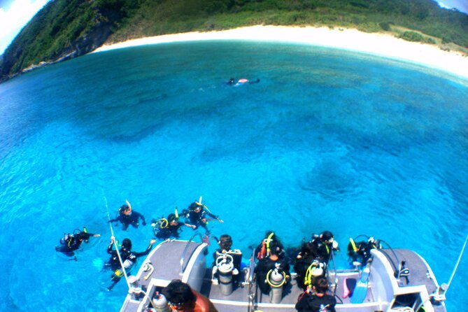 kerama-islands-experience-dive-snorkeling-whale-watching-service