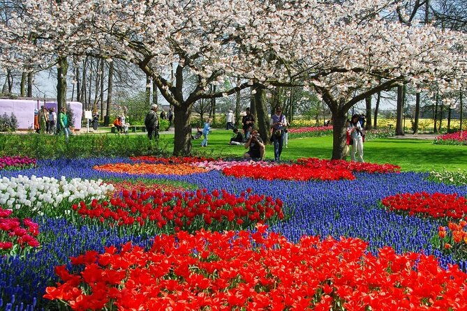 keukenhof-tulip-farm-windmill-cruise-day-tour-from-amsterdam