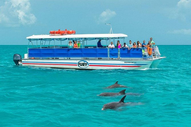 key-west-dolphin-watch-and-snorkel-tour-eco-adventure