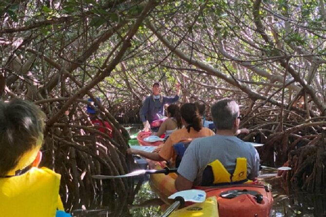 key-west-mangrove-kayak-eco-tour