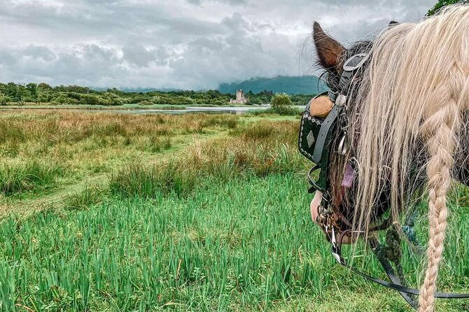killarney-national-park-tour