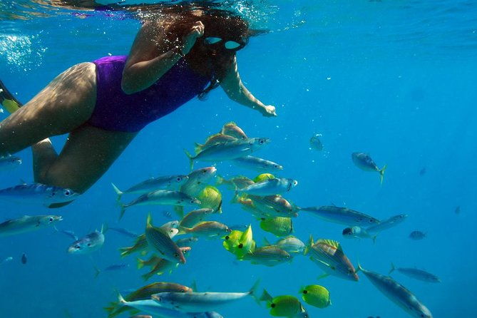 ko-olina-catamaran-sail-and-snorkel