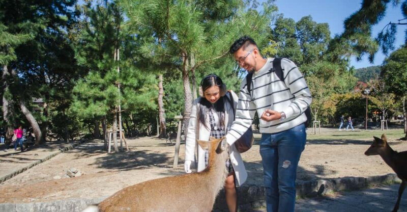 kobe-private-shore-excursion-to-kyoto-osaka-or-nara