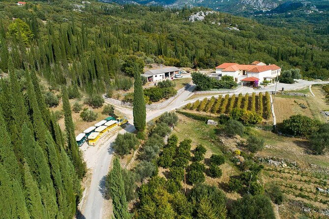 konavle-wine-tasting-tour-from-dubrovnik-with-2-vinerys