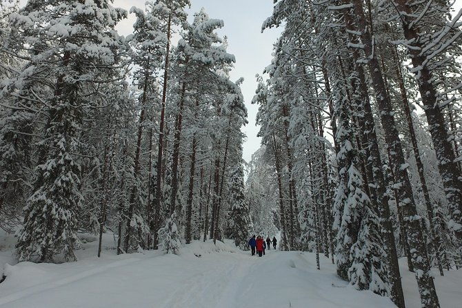 korouoma-national-park-and-frozen-waterfalls-hiking-tour