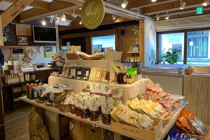 kumamoto-castle-town-walking-tour-with-local-guide