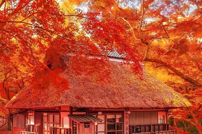 kyoto-and-nara-day-tour-from-osaka-and-kyoto