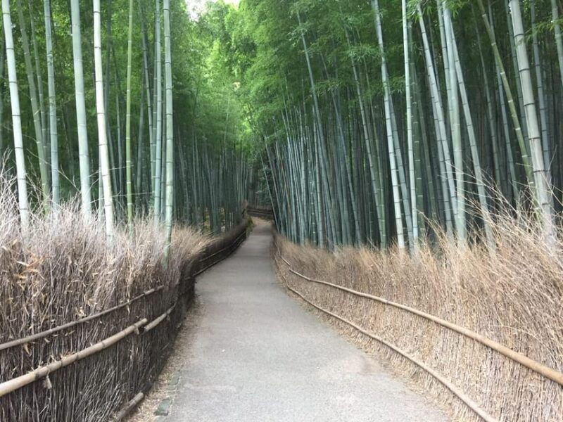 kyoto-arashiyama-bamboo-grove-half-day-private-guided-tour