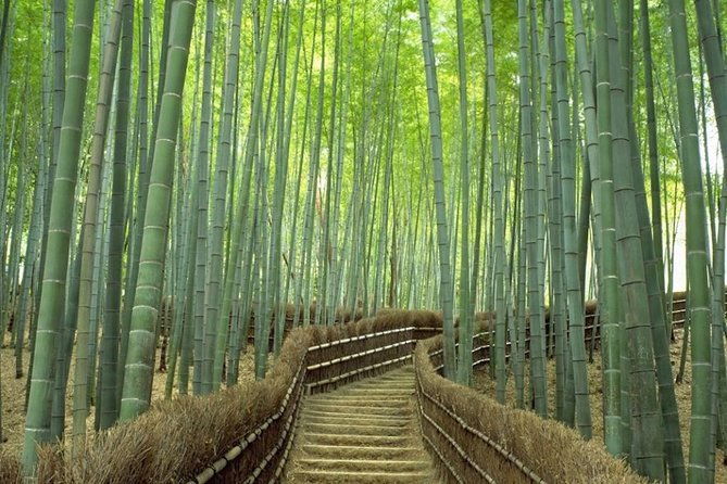 kyoto-day-trip-using-private-car-with-english-driver-up-to-5