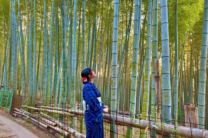 kyoto-early-morning-tour-top-landmarks-in-half-a-day