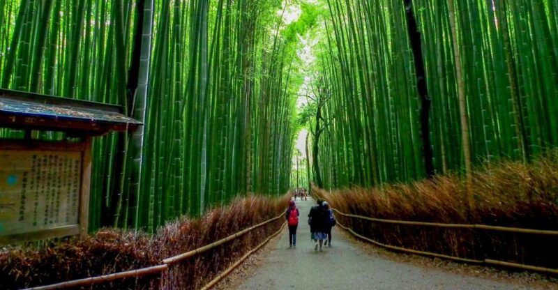 kyoto-japanese-gardens-private-customizable-tour