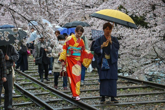 kyoto-private-tour-with-a-local-100-personalized-see-the-city-unscripted