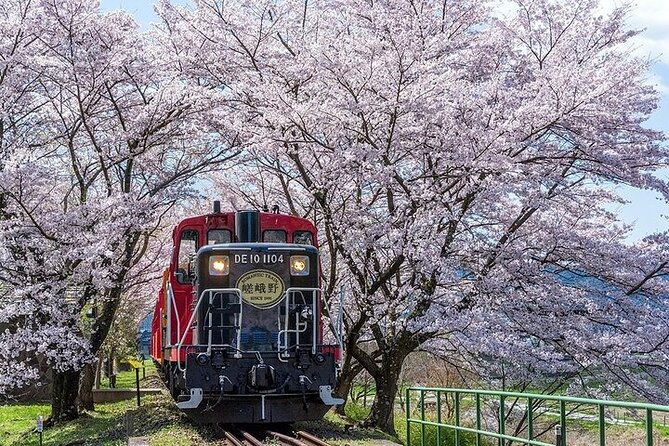 kyoto-sagano-romantic-train-with-cherry-blossoms-bus-tour