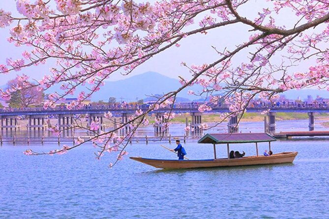 kyoto-sakura-hidden-gems-of-timeless-tradition