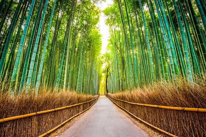 kyoto-sansen-in-arashiyama-train-1-day-tour-from-osaka-or-kyoto