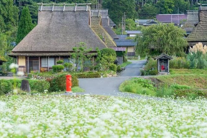 kyoto-suburb-day-tour-from-osaka
