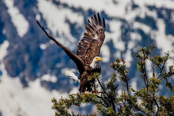 lake-tahoe-small-group-photography-scenic-half-day-tour