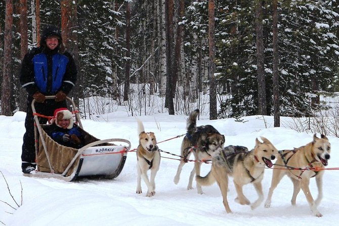 lapland-reindeer-and-husky-safari-from-rovaniemi