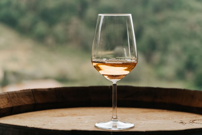 lucca-wine-tasting-experience-tenuta-adamo-winery