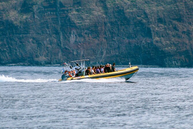 madeira-dolphin-whale-watching-tour
