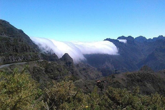 majestic-west-tour-and-fanal-forest