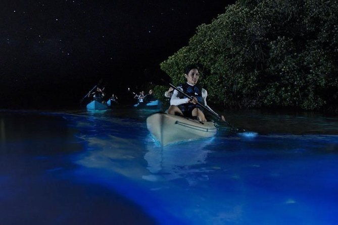 mangrove-tunnels-dolphins-manatee-tour-1-rated-in-cocoa-beach