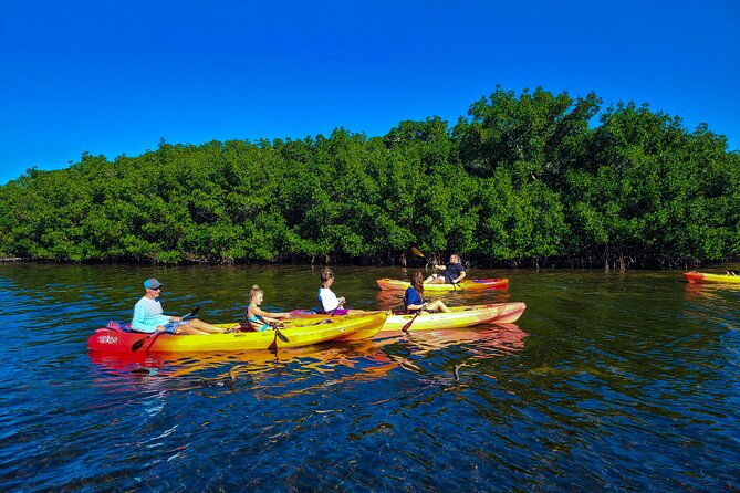mangroves-manatees-and-a-hidden-beach-kayak-tour