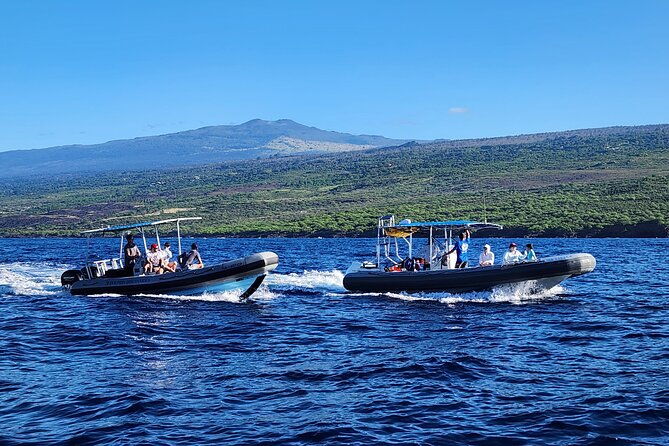 manta-ray-night-snorkel-at-kona-big-island