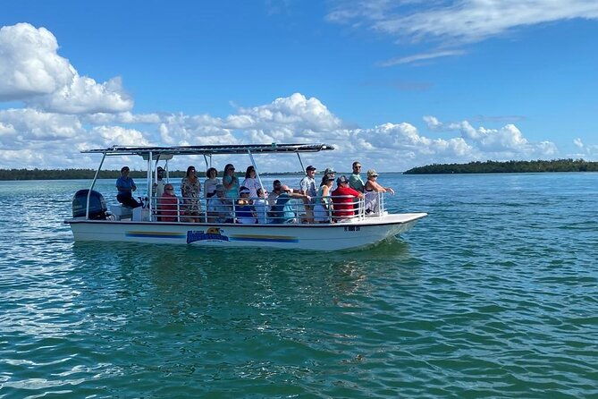 marco-island-dolphin-sightseeing-tour
