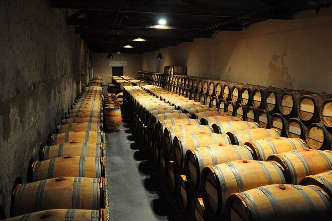 medoc-region-wine-day-trip-with-vineyard-visits-tastings-from-bordeaux
