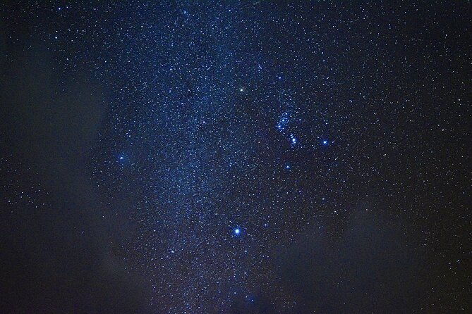 miyako-island-jungle-night-tour-and-starry-sky-viewing