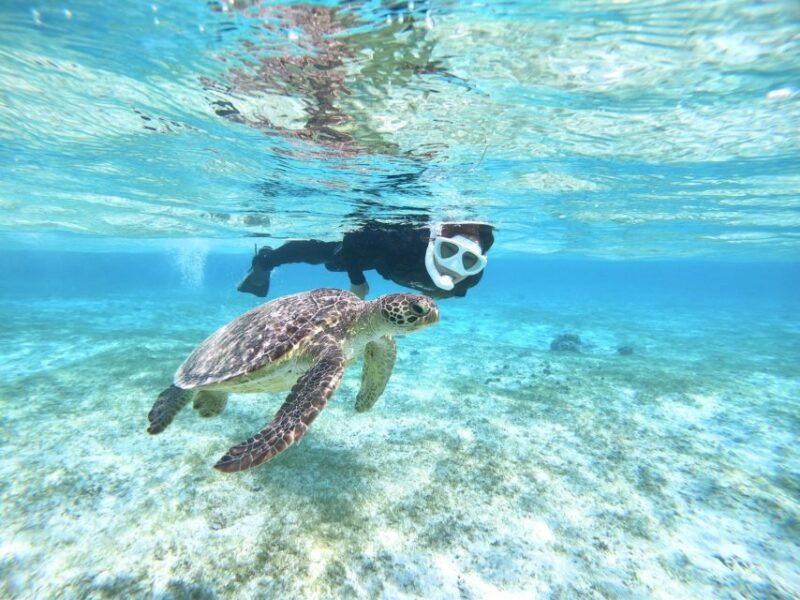 miyako-island-kayaking-and-snorkeling-experience