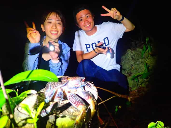 miyako-island-stars-jungle-night-walking-tour