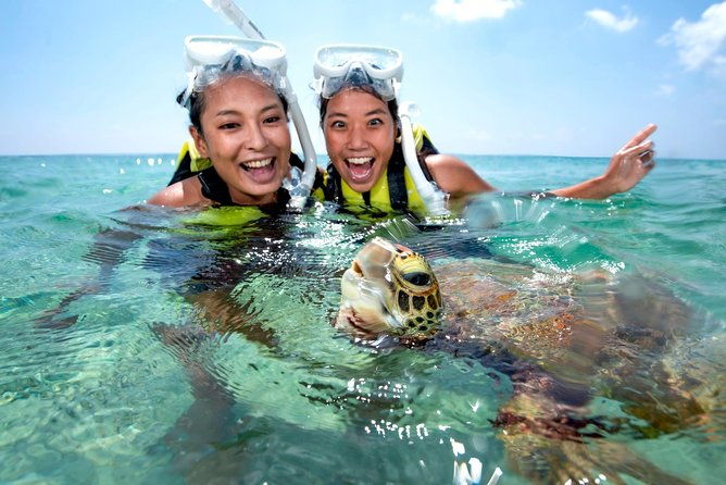 miyakojima-snorkel-tour-to-swim-with-sea-turtles