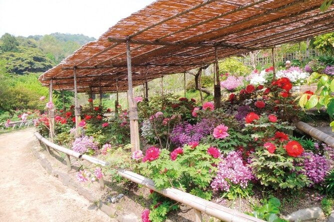 mojiko-retro-kawachi-wisteria-and-shiranoe-gardens-tour-yokabus