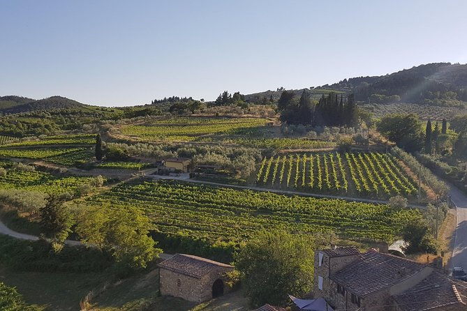 montefioralle-winery-tour-and-wine-tasting-in-chianti