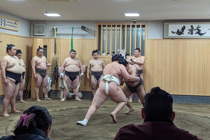 morning-sumo-practice-viewing-in-tokyo