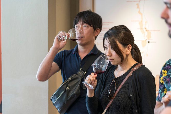 morning-wine-tour-to-chateauneuf-du-pape-from-avignon