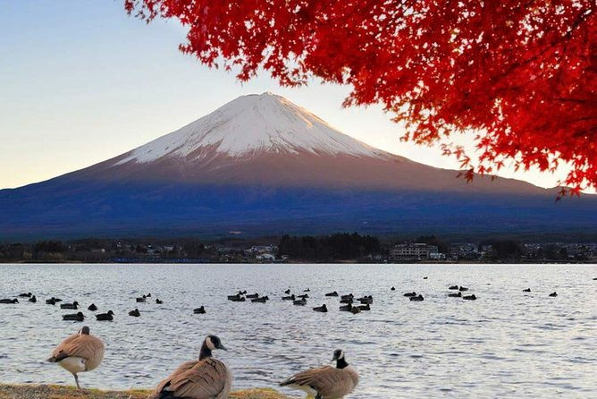mount-fuji-classic-day-tour-join-tour