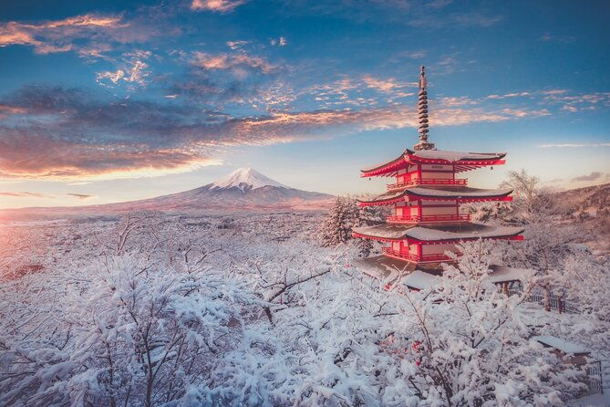 mount-fuji-customizable-private-tour-from-tokyo