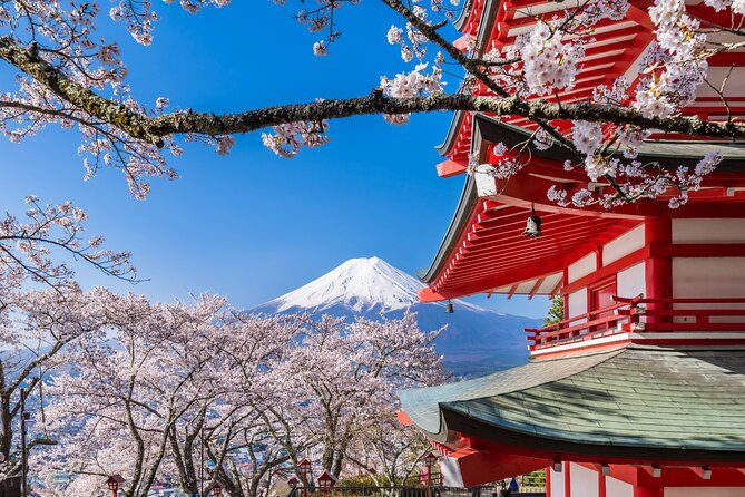 mount-fuji-five-lakes-tour-from-tokyo-with-guide-vehicle